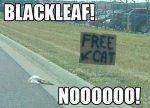 blackleaf.jpg