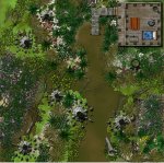 swamp-lair.jpg