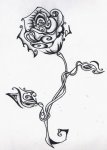 rose tattoo.jpg