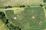 hedge maze.jpg