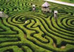 hedge maze2.jpg