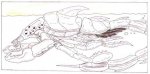 scorpion4.jpg