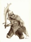 drow_1_twn.jpg