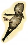 44165_C5_atropal.jpg
