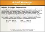 Animal Messenger.jpg
