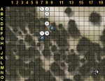 forest3.jpg