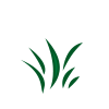 Circle of the Grassland.png
