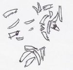 Face_1.jpg