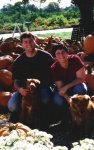 small-kwk-poc-pumpkins.jpg