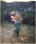 boar.jpg