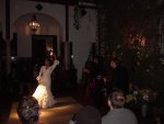 Flamenco.JPG