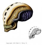 AlienSkull-2.jpg