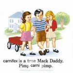 carni.jpg