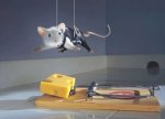 300-mouse.jpg