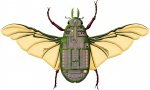 gnollian-scarab-crew-deck.jpg