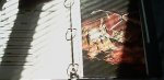GM Binder.jpg