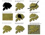 quick-forest-path-tutorial.jpg