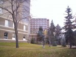 000_0137.jpg