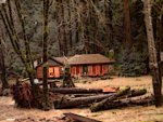Old Cabin1.jpg
