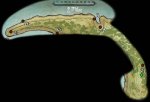 ShivMap5.jpg
