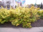 000_0144.jpg