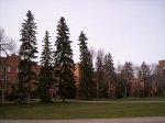 000_0151.jpg
