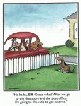 288674c2d17547b9805710aa611be4ee--funniest-cartoons-dog-cartoons.jpg