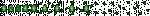 mm2leaf.gif
