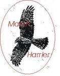 Mharrier Badges.JPG