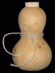 GourdBottle.gif