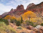 Zion.jpg