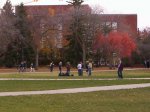 000_0153.jpg