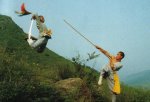 shaolin-fight.jpg