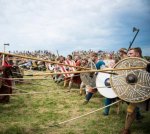 Viking shields 2.jpg