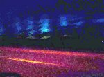 000_0187s.jpg