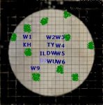 darkwolves2.jpg