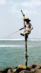 fisherman.jpg