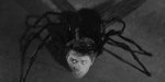 returnofthefly1.jpg
