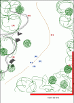 map_clearing1.gif