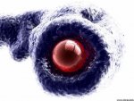 R1 - M8 - Image 4.jpg