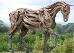 root horse.jpg