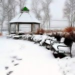 snowy.jpg