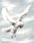 owl.jpg