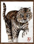 valeria - tiger.jpg2.jpg