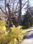 000_0254.jpg