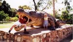 big%20crocodile.jpg