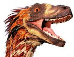 Deinonychus-Head-for-press.jpg