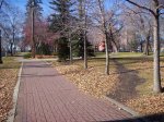 000_0266.jpg