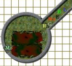 TC-C2-R1.jpg