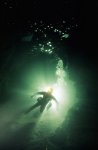 ofd_dive.jpg